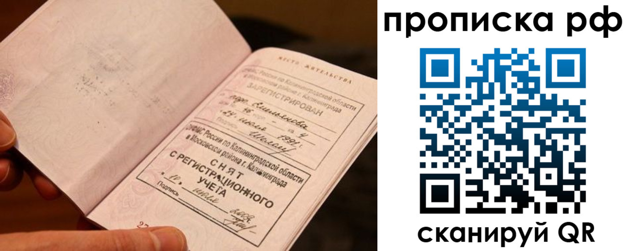прописка гарантия в Ипатово